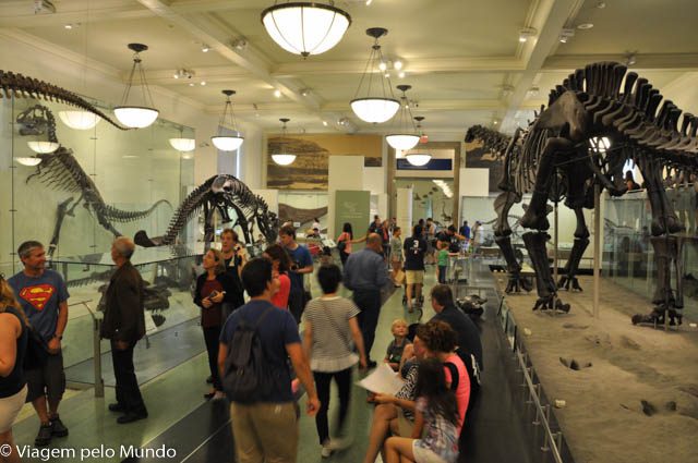 Museu de História Natural de Nova York: o que ver