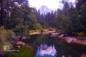 Yosemite Park desde San Francisco Califórnia: bate volta