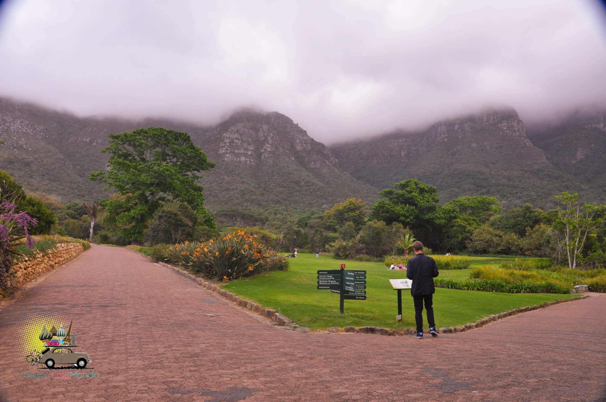 Kirstenbosch Gardens – Cape Town