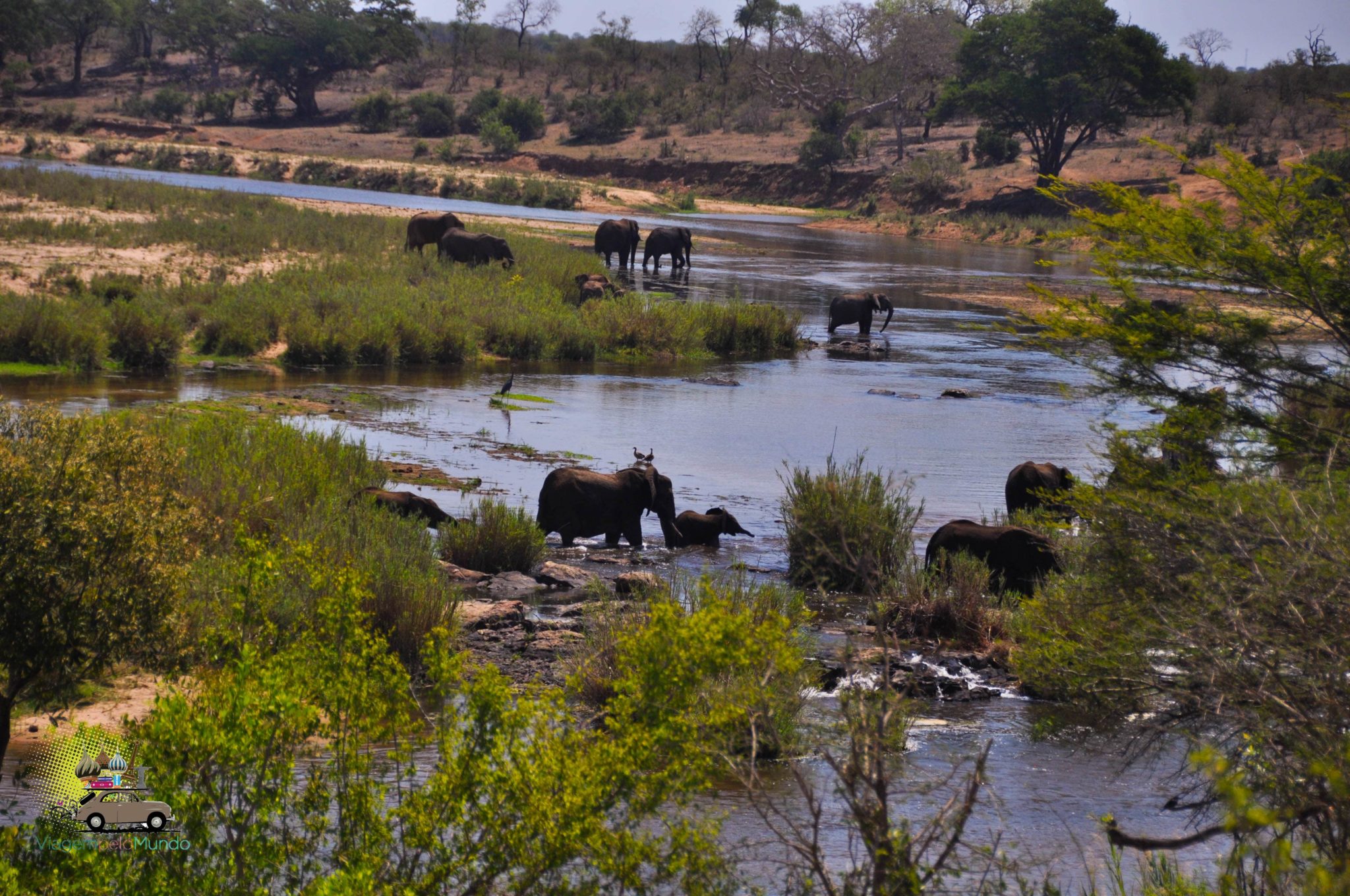 Kruger Park e o safári