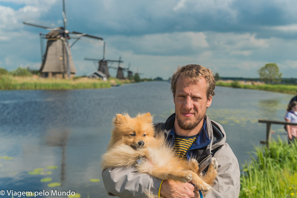 viagem cachorro Kinderdjik Holanda